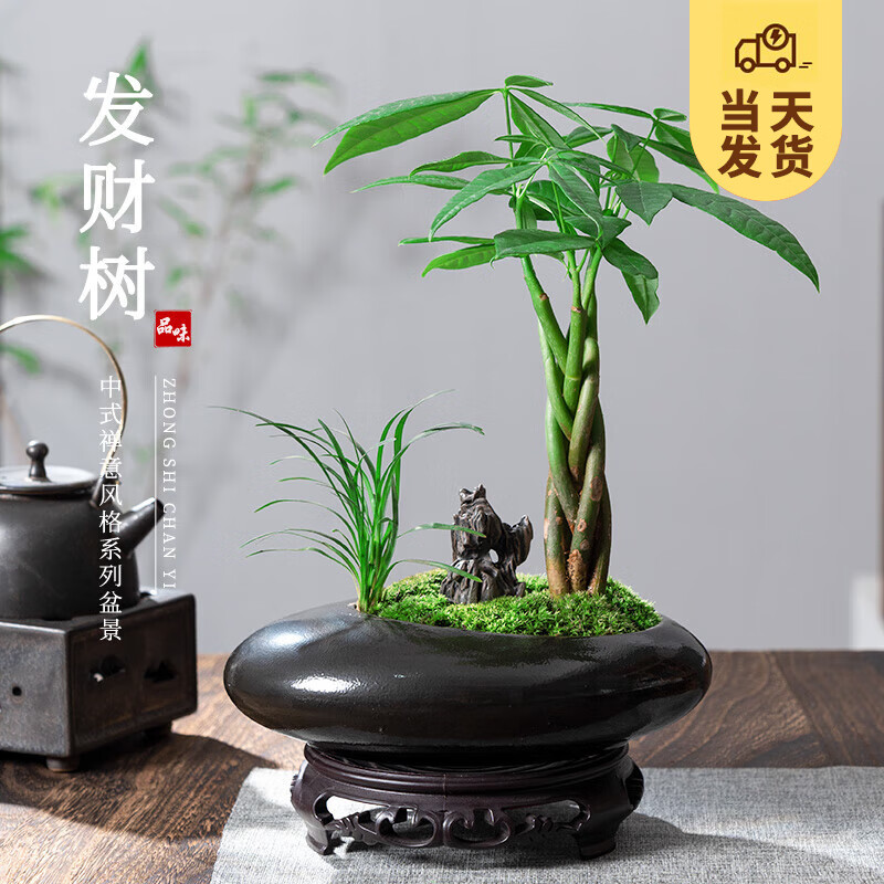 ��ʱ�� �帣���������� ��ʽ�����辰ֲ���鷿�輸�ڼ���ֲԴͷֱ������ ��跢�������쵰��+�ܰ����У� 58Ԫ