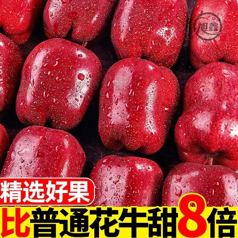 甘肅天水花牛蘋果蛇紅果粉脆沙面甜平果老人新鮮水果10斤 9.5-10 ≈20斤 大大果