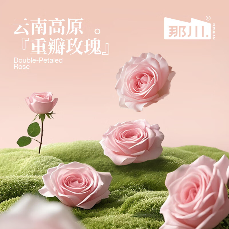 那川茉莉金桂玫瑰白茶乌龙普洱无糖纯茶饮料 0糖0脂解腻解渴多口味5瓶 玫瑰白茶500ml*5瓶