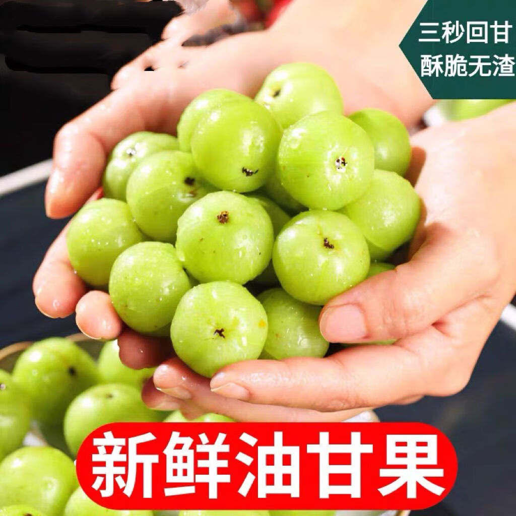 格沃斯新鲜采摘油甘果余甘果滇橄榄油柑酸水果余甘子当季橄榄油甘果新鲜 50克（试吃装）