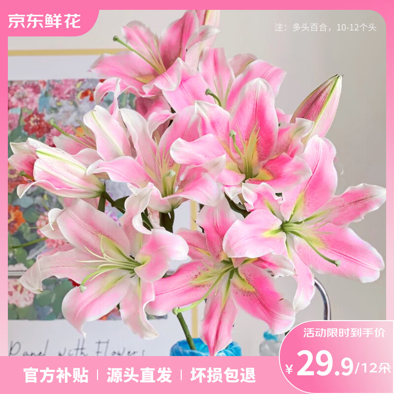 �����ʻ���ˮ�ٺ����ϻ����ʻ����ɫ10��+2���ͼ���Ů�ѽ�������Դͷֱ��