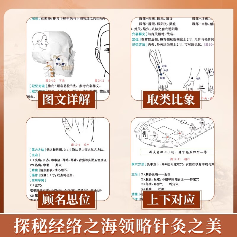 腧穴定位速记胤仁堂中医丛书张国强中医针灸学穴位全解针灸参考用书人民医学网中医书籍针灸经络定位工具书临床小儿推拿书 腧穴定位速记(胤仁堂中医丛书) 2025