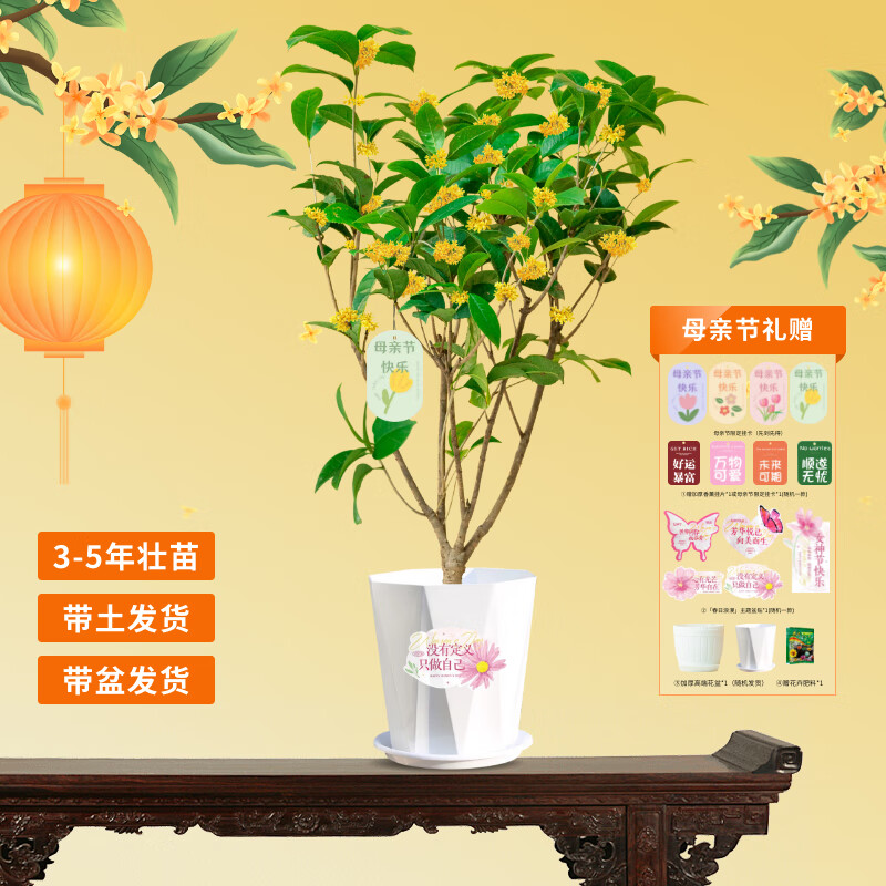 �����ʻ��ļ������칫�һ���������ֲԴͷֱ��ʥ��Ԫ����������Դͷֱ��