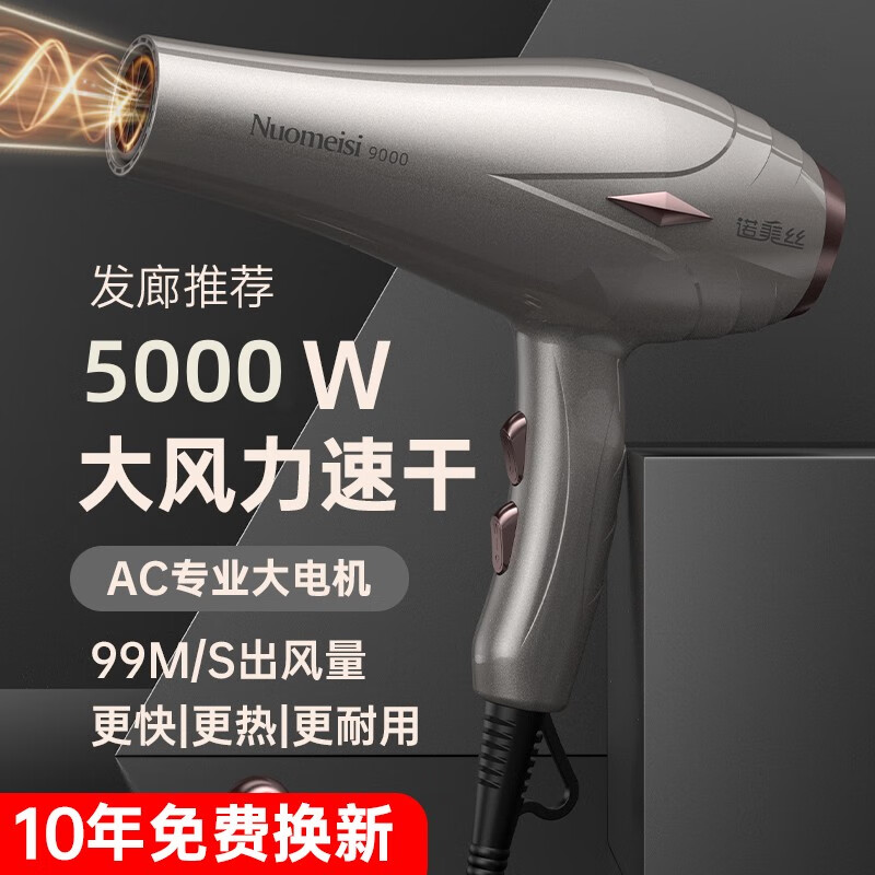 诺美丝吹风机家用负离子大功率不伤发电吹风发廊理发店专用吹风筒速干 旗舰版纯铜AC电机 灰【家用】