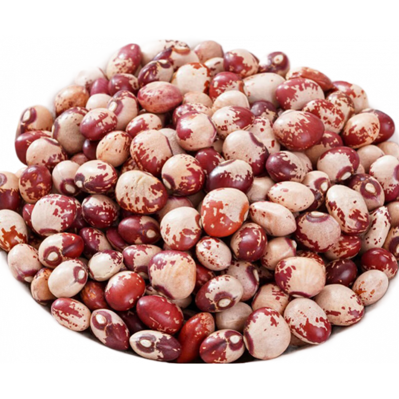 北京同仁堂熊貓豆5斤云南雀蛋豆奶小花蕓豆貓豆紅花豆孔雀豆芙蓉豆五谷雜糧 優(yōu)質(zhì)熊貓豆[5斤](批發(fā)價(jià))