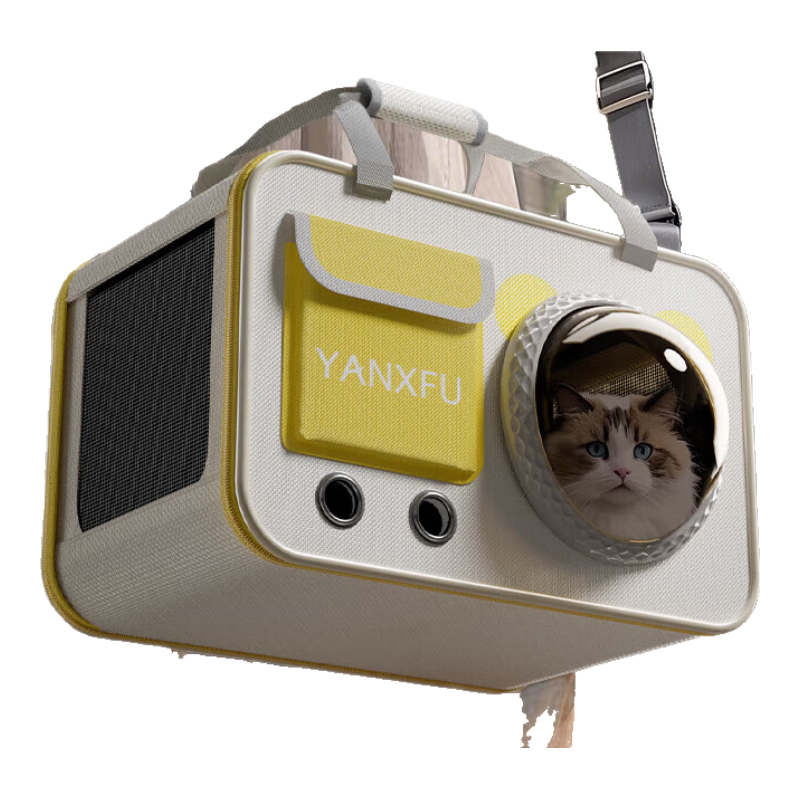 ���ڲ�����BNBNO è�������Яè��Я��è������ʽ���ذ�������˫����ﱳ�� 186.99Ԫ��3��(��62.33Ԫ/��)