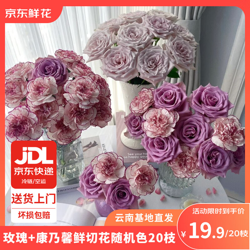 京东鲜花【超值组合】玫瑰10枝+康乃馨10支家庭鲜花生活插花源头直发