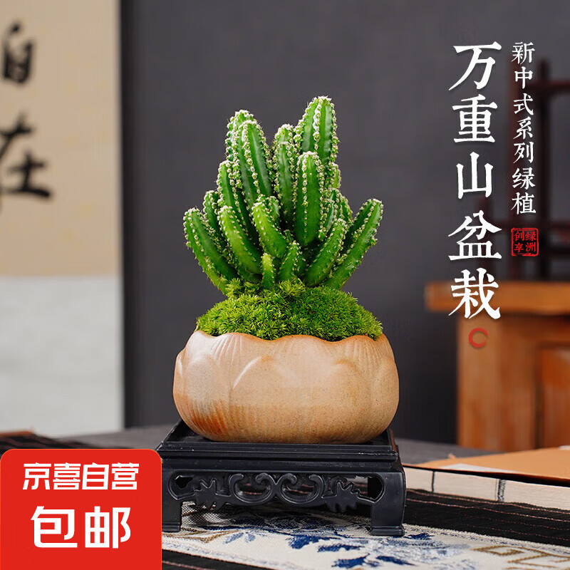 ����ɽ������������ֲ����������ֲ���������������ͺ������׻� ����ɽ+̦޺+������+�մ���