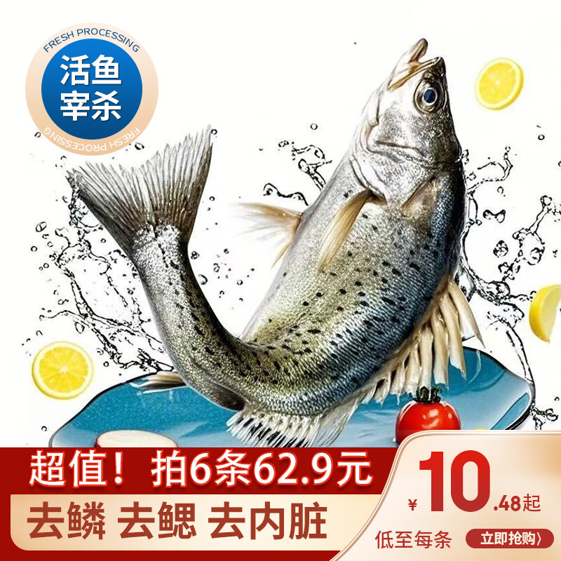 简鲜新鲜活冻三去开背开腹白蕉海鲈鱼生鲜海鱼海鲜水产去鳃去鳞去内脏 三去海鲈鱼200-250g*6条
