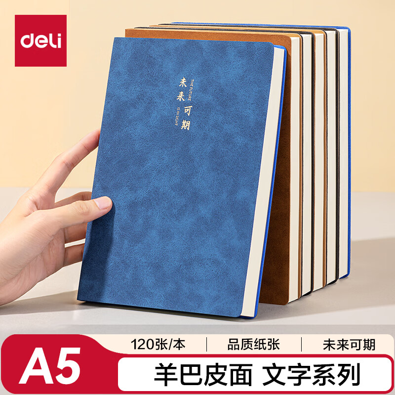 得力（deli）皮面本笔记本记事本会议记录本羊巴皮加厚A5/120张单本BP103蓝色（未来可期）