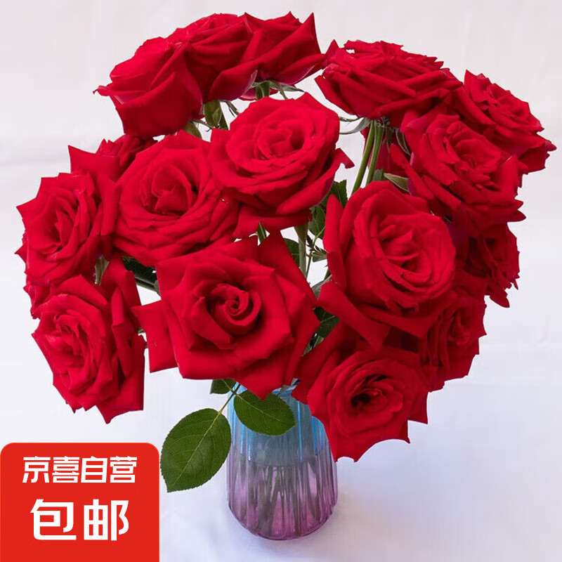 ��õ�廨��10֦װ�ؼ������ʻ�ֱ�������ʻ����ﻨ������ˮ���廨 ��õ��10֦