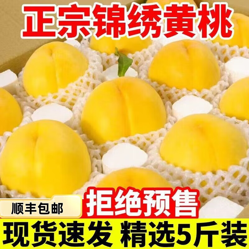 順豐蒙陰錦繡黃桃新鮮水果10斤當(dāng)季現(xiàn)摘桃子露天蜜桃黃肉毛桃大果 5斤中小果