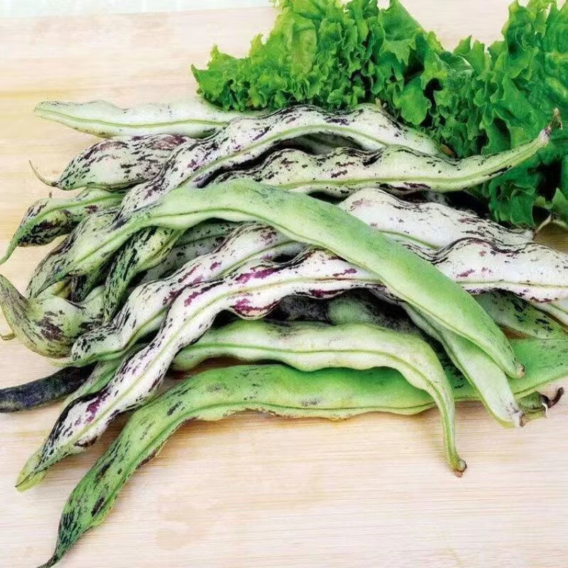 弯钩油豆种子 东北油豆角种子 开锅烂圆油豆挤豆蔬菜种子按斤销售 弯钩油豆种子 【半斤】