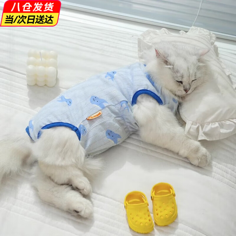 米聆貓咪夏季衣服防掉毛薄款布偶貓小貓寵物母貓純棉貓貓夏天絕育服 藍鯨魚寶寶護肚衣 M背長32cm【建議9-13斤】