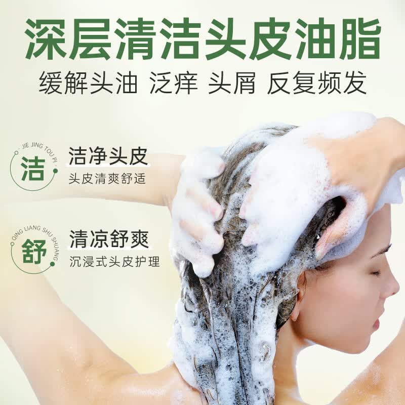 百年扁氏艾草去屑止痒头皮素 天然植萃洗发水柔和洁净控油改善头皮洗发水 买1送1
