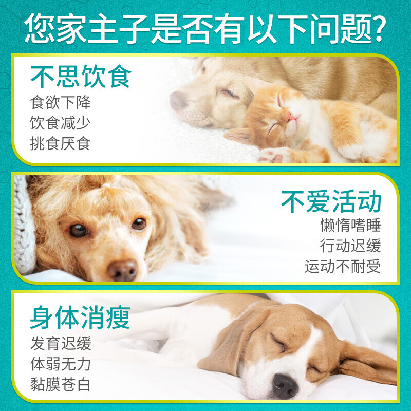汉维宠仕维加佳猫咪狗狗护肝补血铁呵护肝脏健康营养支持30片/盒 30片-4mg（小型犬/猫用） 犬猫通用