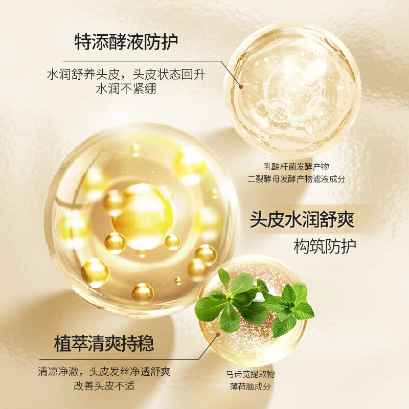 丝域养发植萃舒爽洗发露清洁头发干燥头油过重润养毛发洗发水 植萃舒爽洗发露300ml*1