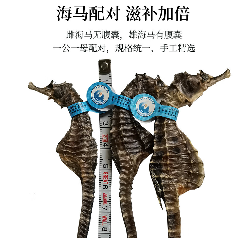 海马药材公母一对六角海龙组合泡酒滋补壮阳【CAWC认证】干货礼盒 50只公母搭配 52g*1袋