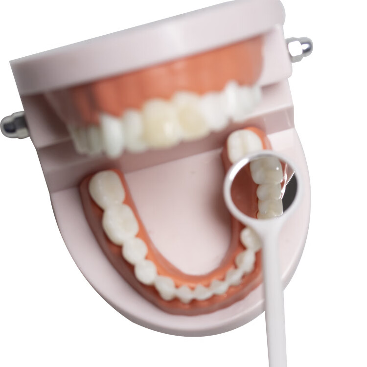 牙科材料一次性口镜口腔检查工具独立包装 100支/包 可开发票 一次性口镜【独立包装】 100支【一整包】