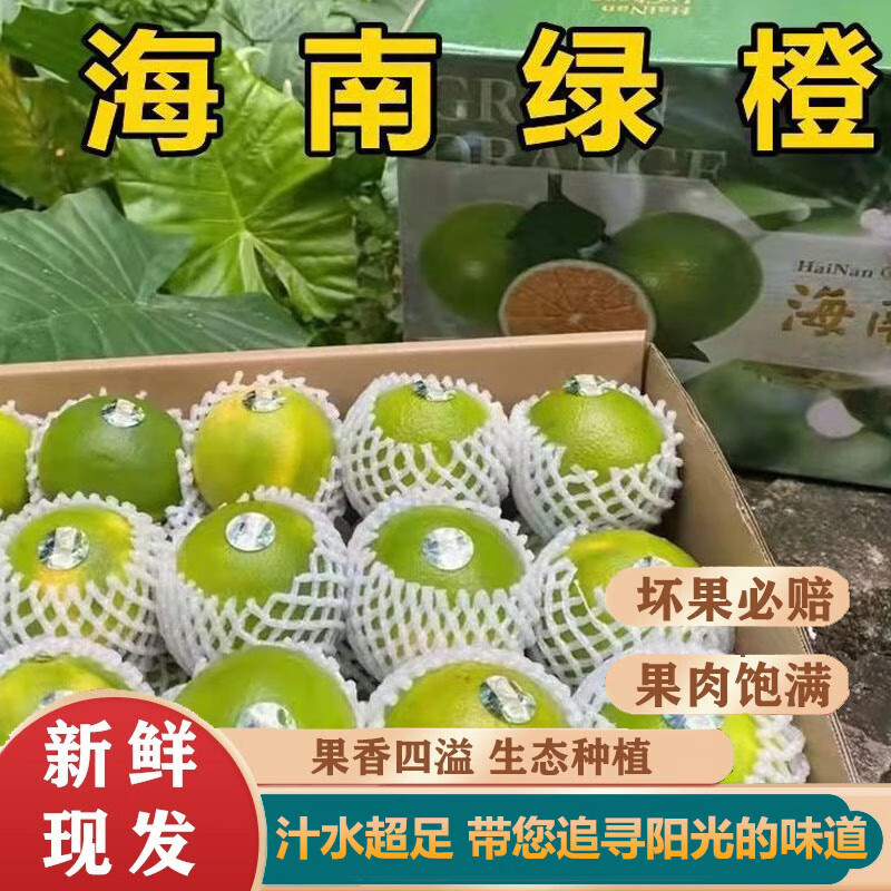 果坊情海南绿橙子琼中特产礼盒装绿皮冰糖橙脐新鲜青橙皮薄现摘整箱水果 10斤礼盒装 1斤3-5个