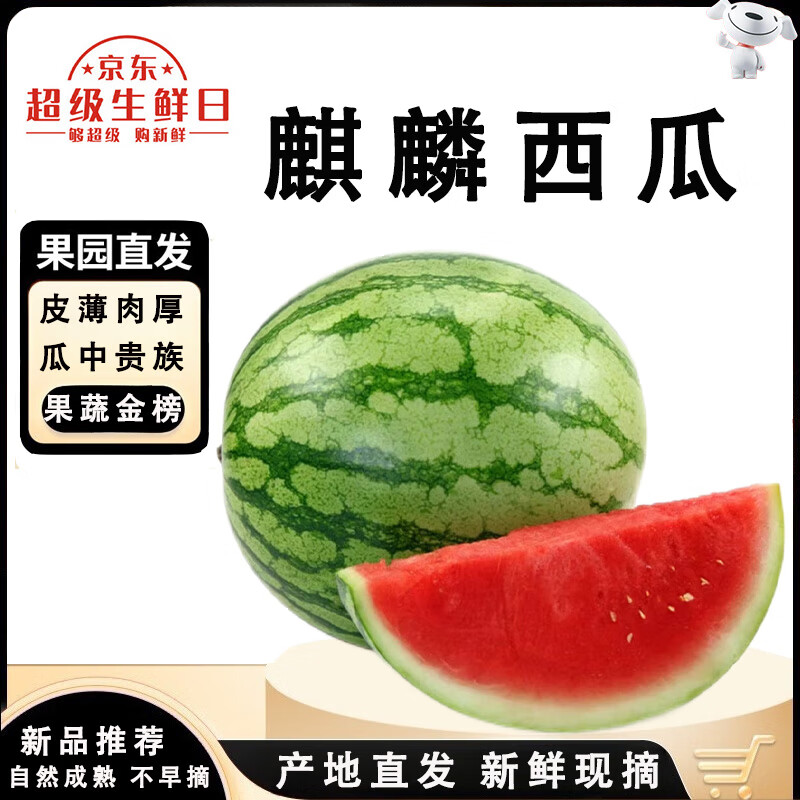 闽农语果云南麒麟西瓜新鲜水果当季现摘时令大西瓜新鲜采摘剥薄皮麒麟西瓜 净重8-10斤 | 1个瓜 | 活动特惠装 皮薄肉厚