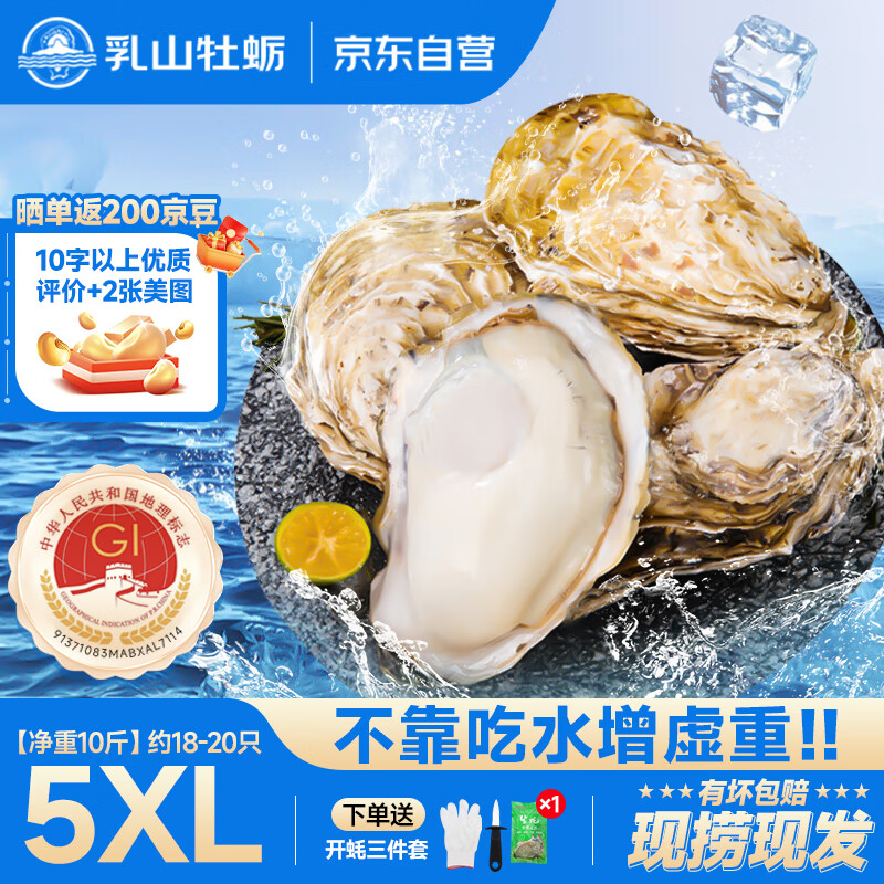 乳山牡蛎 鲜活乳山生蚝5XL 净重10斤 18-20只 生鲜海鲜 源头直发 烧烤食材