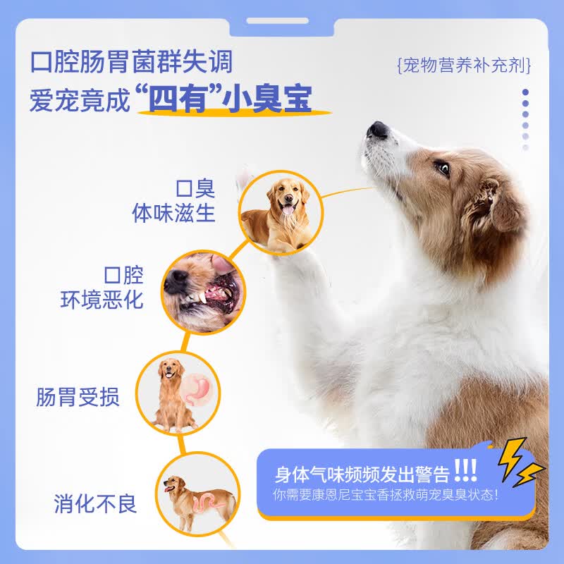 康恩尼特价宝宝香狗狗猫咪口腔去除口臭肠胃调理宠物益生菌清新口气清仓 50g*1瓶 (30天尝鲜装)猫犬通用 康恩尼宝宝香【【效期至26年12月介意勿拍】
