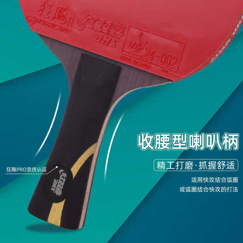 红双喜（DHS）红双喜专业级狂飚PRO乒乓球拍单拍高级狂飚王龙底板直横拍兵乓拍 9星 横拍 狂飚PRO-横拍1支