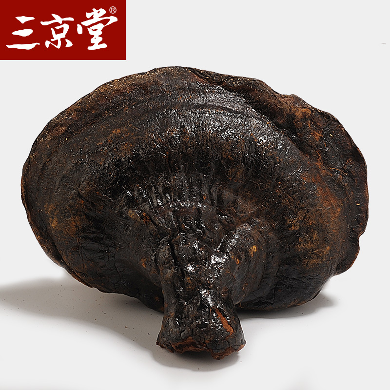 三京堂 紫灵芝反柄灵芝 云南生长马蹄灵芝茶林芝可搭灵芝孢子粉 250g