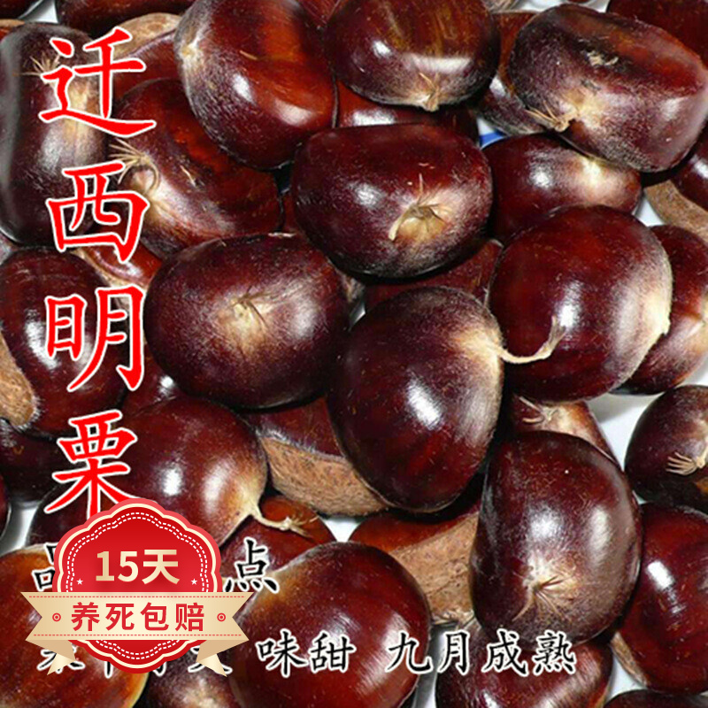 京东苗木如何查看历史价格|苗木价格比较