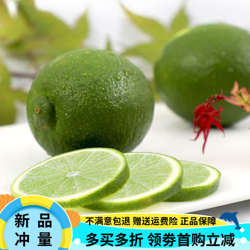 都樂（Dole）【Dole都樂】塔西提檸檬 青檸檬無籽檸檬單包240g塔西提檸檬6袋裝 塔西提檸檬6袋裝