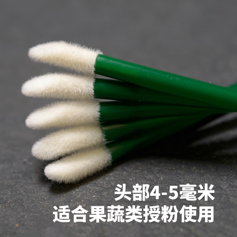 果蔬綠植多肉人工授粉筆授粉神器通用授粉棒工具點(diǎn)花器羅漢果草莓 加粗款10根