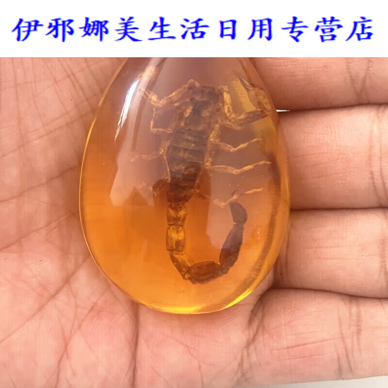 云舵昆虫标本人工琥珀蝎子蝴蝶虫珀原石蜘蛛儿童礼物桌面摆件 水滴形