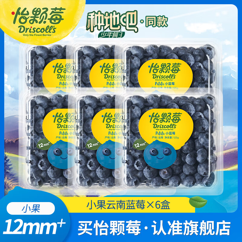 怡颗莓【尝鲜专享】云南蓝莓 国产当季 新鲜蓝莓 生鲜水果 送礼 蓝莓小果125g*6盒（12mm+）
