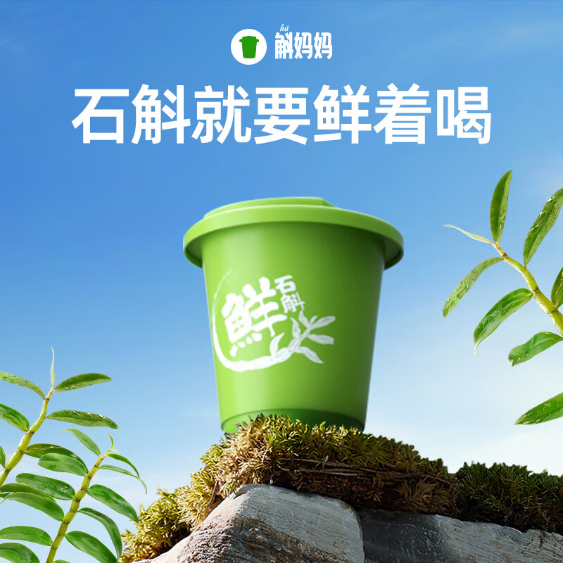 斛妈妈 正宗霍山石斛粉尝鲜装3罐 铁皮石斛鲜粉 原料有机 胶质鲜润