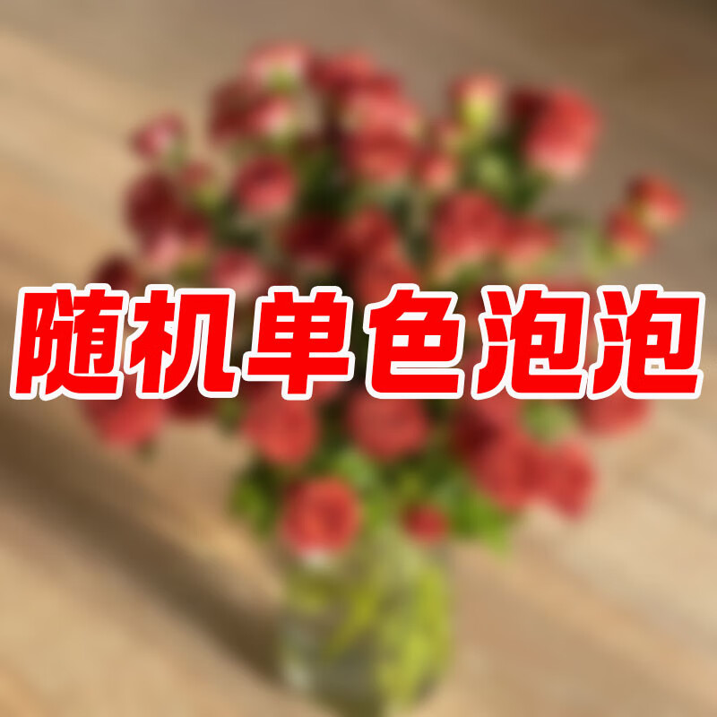 卡布奇诺单头玫瑰鲜花小苍兰香雪兰鲜花云南昆明基地直发鲜切花 多头玫瑰10枝【随机单色30上】 花束整长40-50cm送保鲜剂