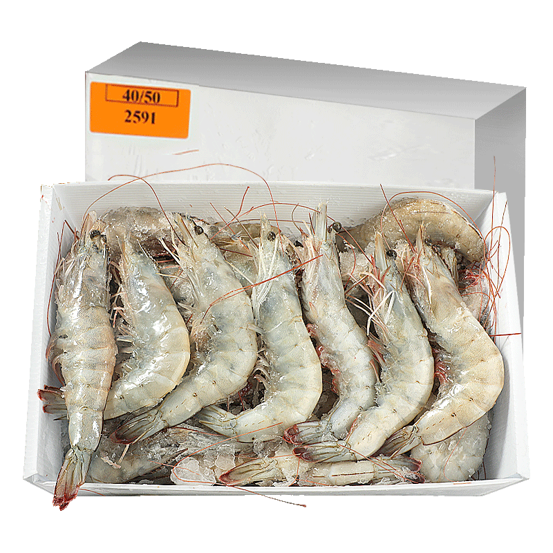 ڲ Ϻ ൺϺʻ䶳ΧϺ Ϻ ˮʰϺϺϺϺ ζϺ 3.6()  15-17cmֻ ޱ¡69.9Ԫ