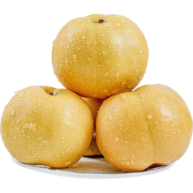 月露冰糖蜜梨4粒1.4kg