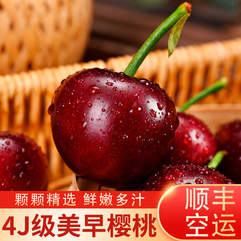 ˶ݮ����ɽ�������ӣ�ҳ����� ����ˮ�� 4.5��(����)  ����22-26mm