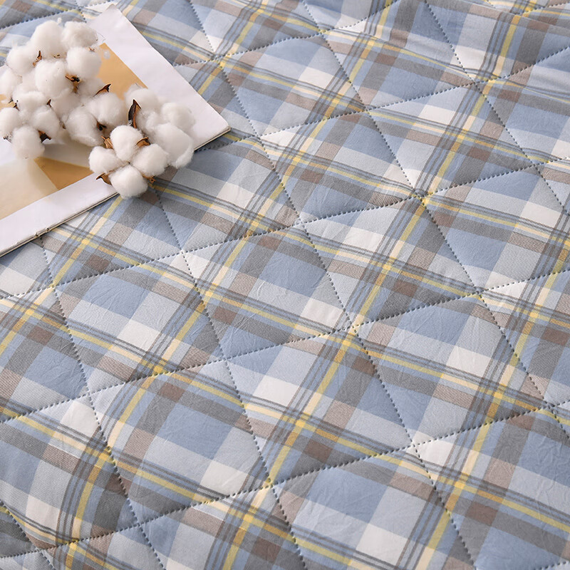 多兰诗(Duolanshi)夏凉被 可机洗小清新空调被宿舍单双人夏天薄被子 丁香格蓝 200*230cm