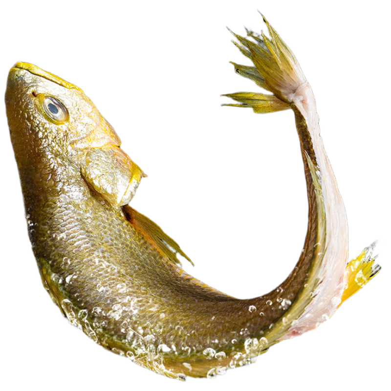 ������ �ƻ��� 700g