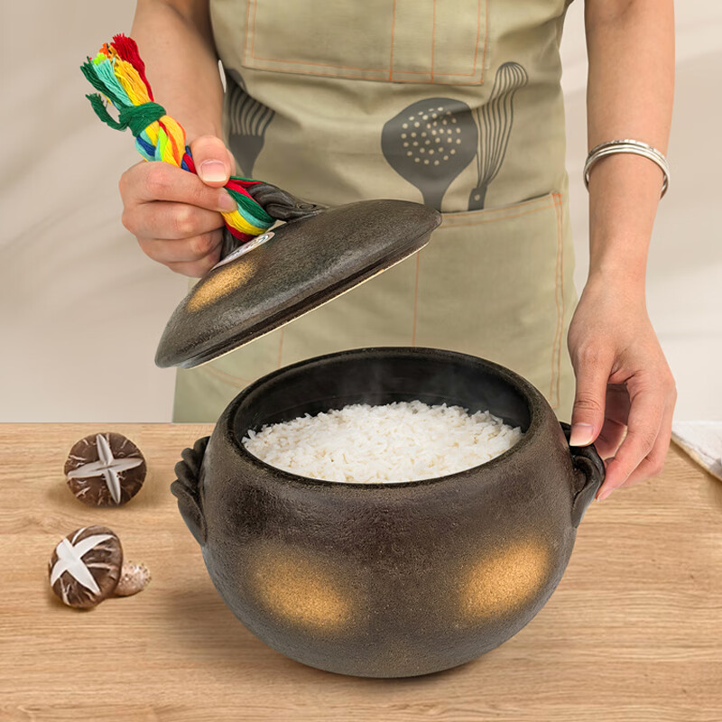 设乡味万古烧砂锅汤锅炖盅日本原装进口栗型土锅家用陶瓷锅煲仔饭燃气灶 267044 | 7合 约 4L