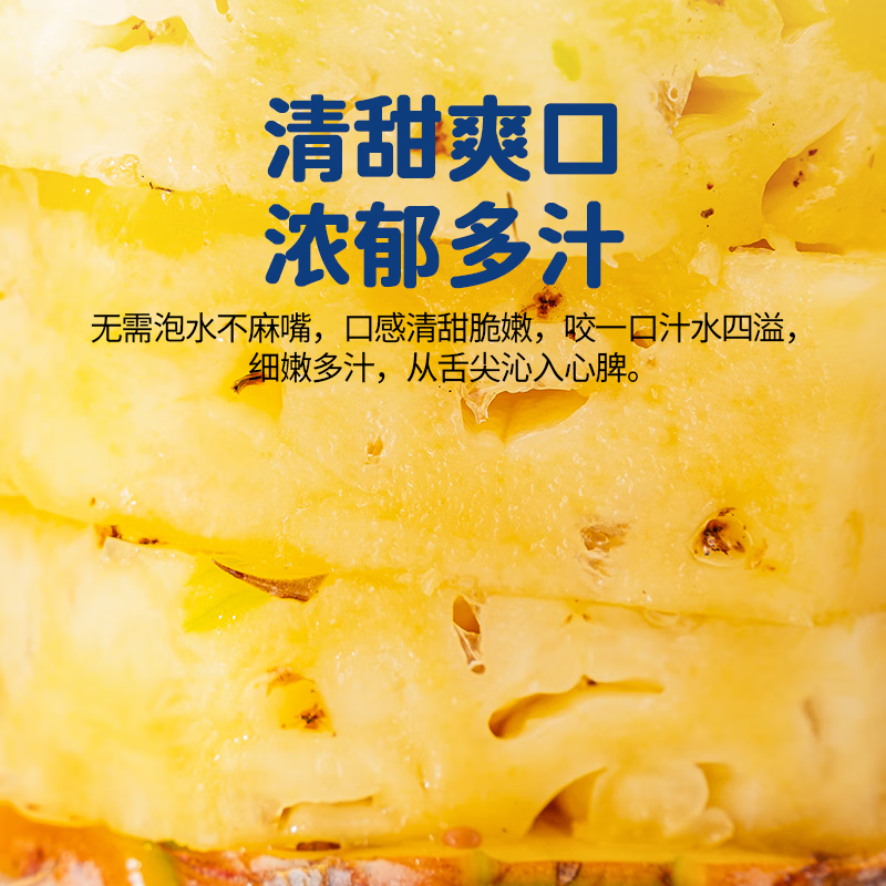 海南金钻凤梨新鲜水果时令整箱菠萝文昌直发生鲜采摘 中果带箱5斤