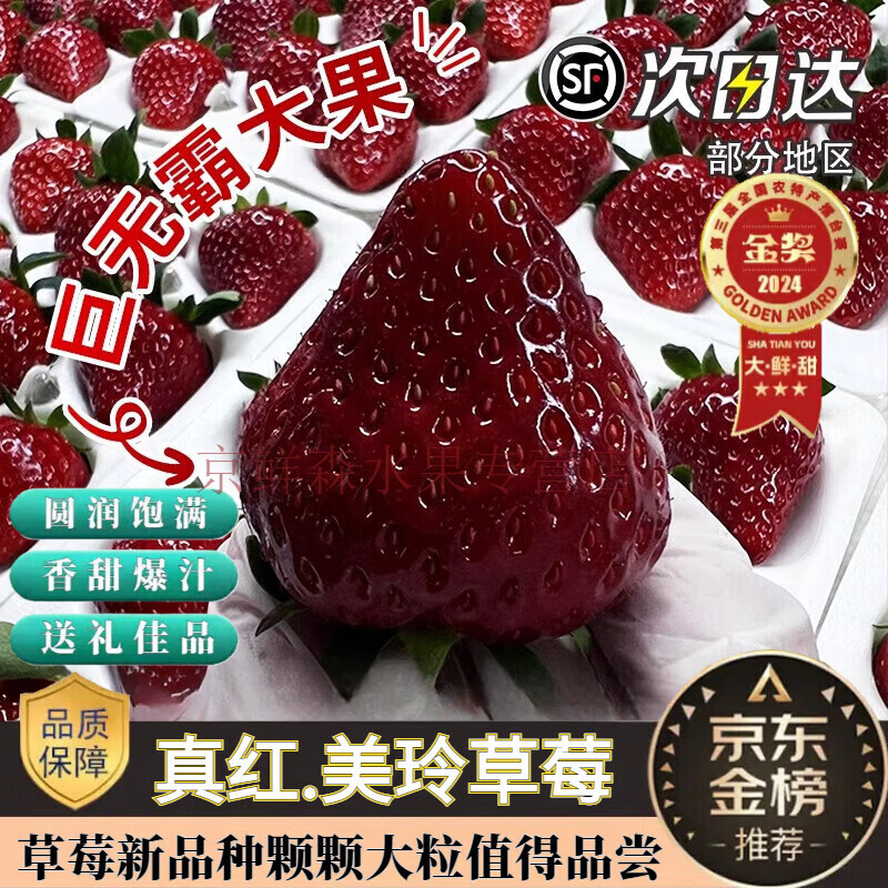 【順豐空運(yùn)】真紅美鈴草莓丨黑美人日本黑珍珠黑草莓新鮮水果現(xiàn)摘 500g 果王9粒/盒/250克/盒/限量供應(yīng)