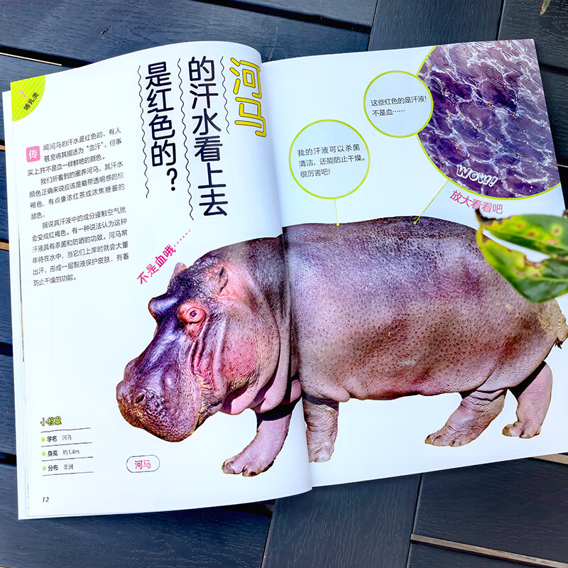 正版 全4册 你没想过的小动物系列 怎么饲养它们 去哪里寻找它们 超有趣的动物小知识 怎么捉住它们 小学生动物知识图文科普读物 课外书