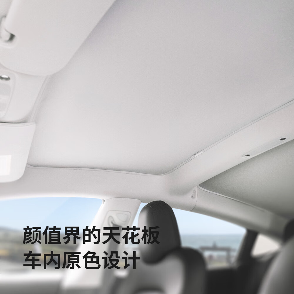 特麦TEMAI大师版遮阳帘适用特斯拉Model3/y天窗遮阳顶丫防晒隔热配件 焕新model 3大师版天窗遮阳帘套装【原车色】