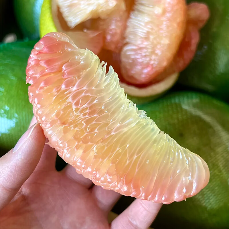 ʸ̩Ƥӽ ˮ 2װ2-2.5 49.9Ԫ