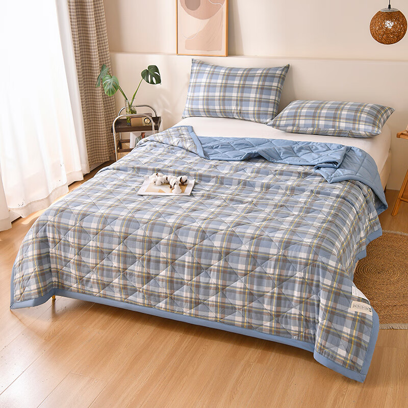 多兰诗(Duolanshi)夏凉被 可机洗小清新空调被宿舍单双人夏天薄被子 丁香格蓝 200*230cm