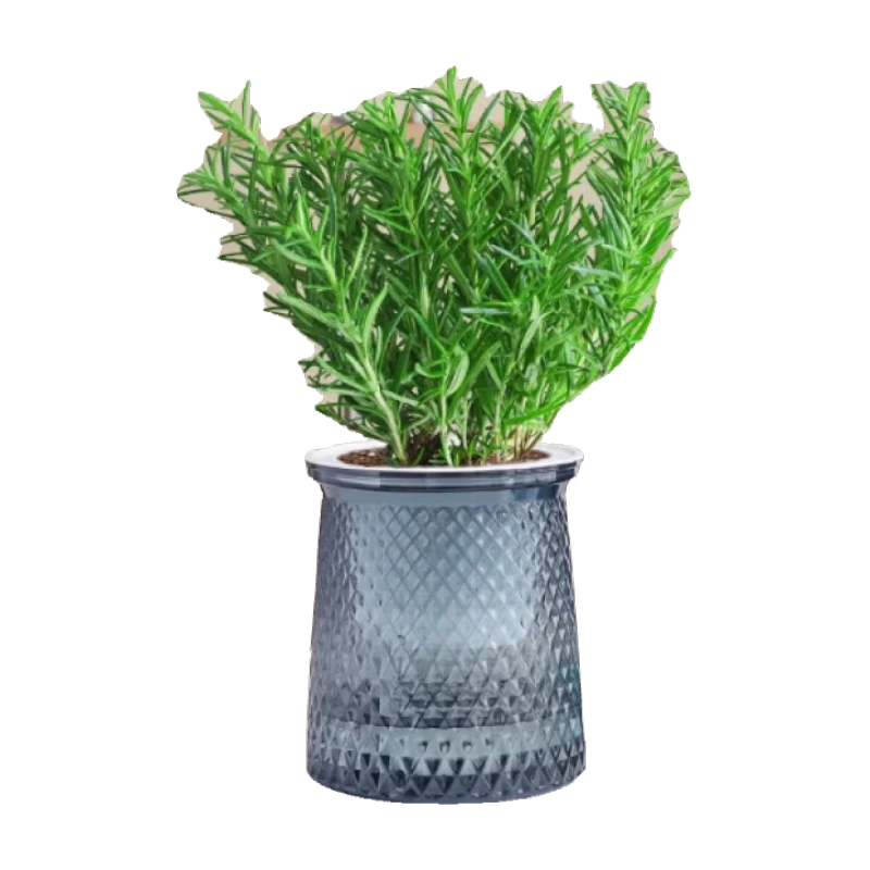 �Ե��������Կ�ʳ������ֲ����ݱ�������ֲ�����ڼ�ţ��ˮ�໨�� �Ե���1�躬���Լ25 ��ɫ������ˮ��