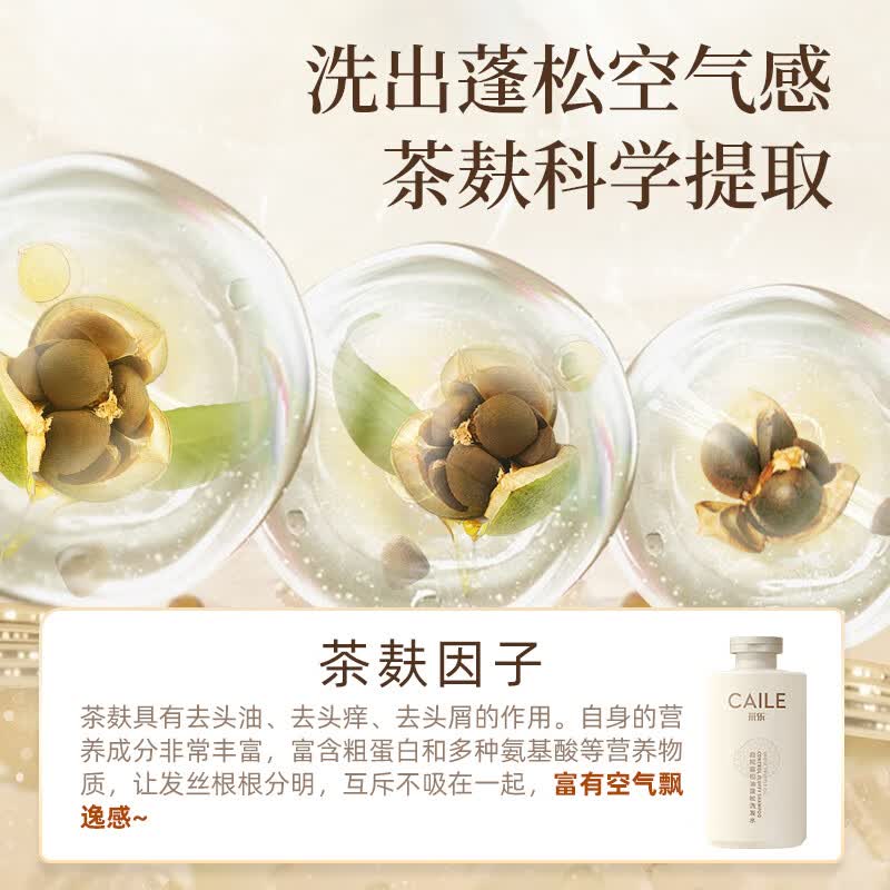 采乐控油洗发水清爽蓬松去屑洗发露丰盈蓬松白松露洗发乳高颅顶 【控油蓬松】白松露洗发水 500ml*1瓶